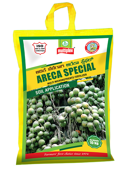 uploads/images/prod/ARECA SPECIAL (1).png